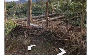 Venta Terreno Forestal O Ecologico