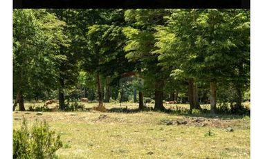 Venta Terreno Forestal O Ecologico