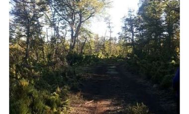 Venta Terreno Forestal O Ecologico