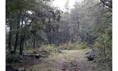 Venta Terreno Forestal O Ecologico
