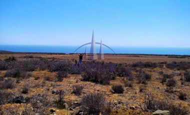 Linda Parcela 5000 M2 En Punta Colorada, Ovalle, Coquimbo