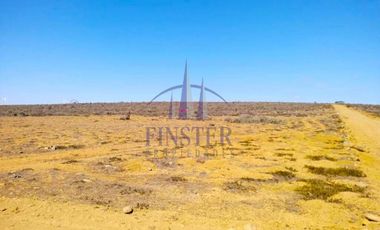 Linda Parcela 5000 M2 En Punta Colorada, Ovalle, Coquimbo