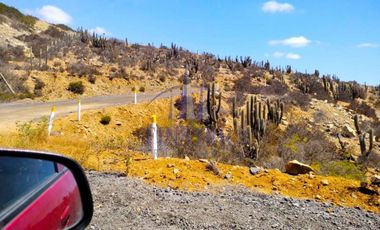 Linda Parcela 5000 M2 En Punta Colorada, Ovalle, Coquimbo