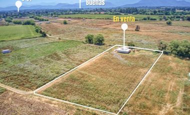 Parcela En Venta En Yerbas Buenas - Linares - Gran Terreno R