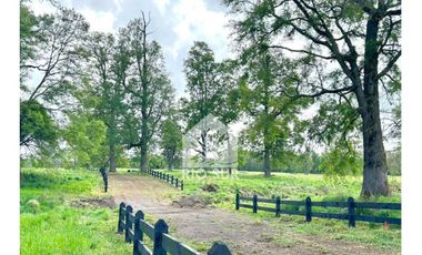 Parcelas Lago Ranco Urbanizadas - Rio Sur Corretajes