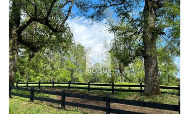 Parcelas Lago Ranco Urbanizadas - Rio Sur Corretajes