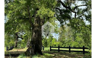 Parcelas Lago Ranco Urbanizadas - Rio Sur Corretajes