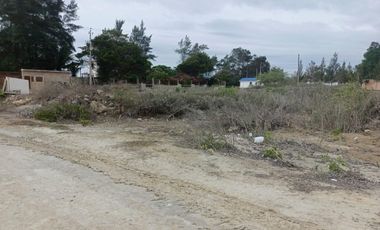 Terreno en venta en Pacoa, Santa Elena, ChrC