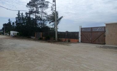 Terreno en venta en Pacoa, Santa Elena, ChrC