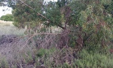 Venta de lote en sauce grande