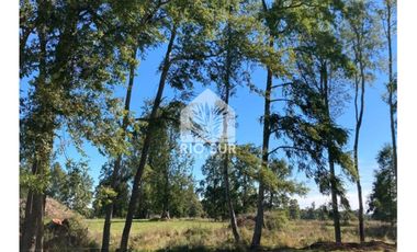 Parcela 0,5ha Rio Bueno, Sector Crucero - Rio Sur Corretajes