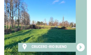 Parcela 0,5ha Rio Bueno, Sector Crucero - Rio Sur Corretajes