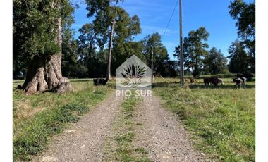 Parcela 0,5ha Rio Bueno, Sector Crucero - Rio Sur Corretajes