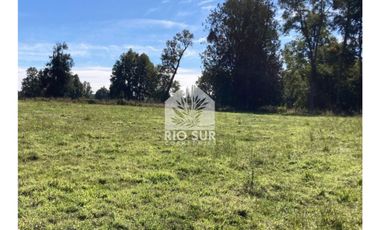 Parcela 0,5ha Rio Bueno, Sector Crucero - Rio Sur Corretajes