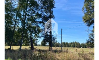 Parcela 0,5ha Rio Bueno, Sector Crucero - Rio Sur Corretajes