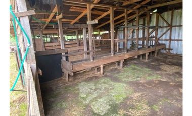 Parcela 3,77ha. Con Casa, Bodega, Piscina, Quincho (Oferta)