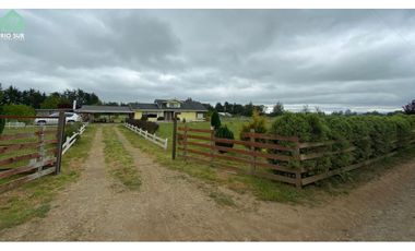 Parcela 3,77ha. Con Casa, Bodega, Piscina, Quincho (Oferta)