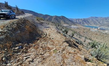 Terreno De 5.000 M2. Sector Los Algodones