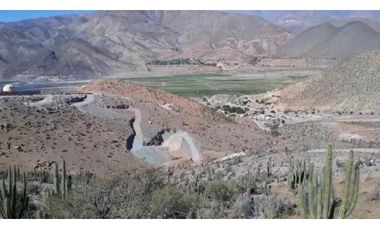 Terreno De 5.000 M2. Sector Los Algodones