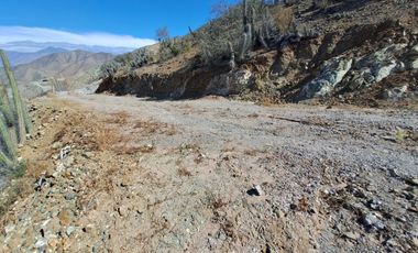 Terreno De 5.000 M2. Sector Los Algodones