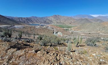 Terreno De 5.000 M2. Sector Los Algodones