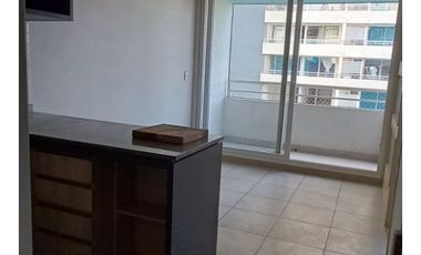 Se Arrienda Dpto De 1 Dormitorio 1 Baño, En La Cisterna, Met