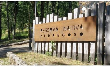 Se Arrienda Preciosa Casa 2d2b Pedregoso