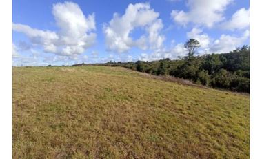 Parcela Con Vista En Llanquihue - Austral Partners