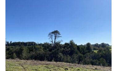 Parcela Con Vista En Llanquihue - Austral Partners