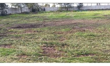 Casa En Parcela Requinoa 4d 2b - Proalis Propiedades