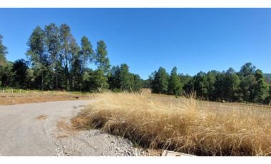 Hauslink Vende Últimas 6 Parcelas En Fabuloso Loteo Ñancul