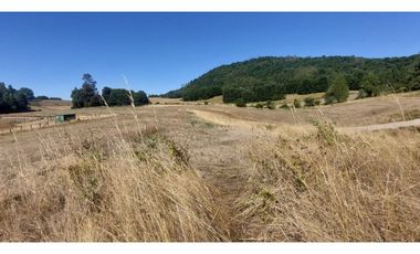 Hauslink Vende Últimas 6 Parcelas En Fabuloso Loteo Ñancul