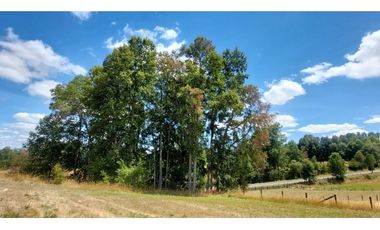 Hauslink Vende Últimas 6 Parcelas En Fabuloso Loteo Ñancul