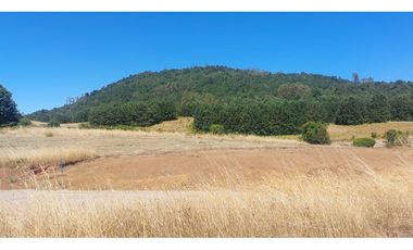 Hauslink Vende Últimas 6 Parcelas En Fabuloso Loteo Ñancul