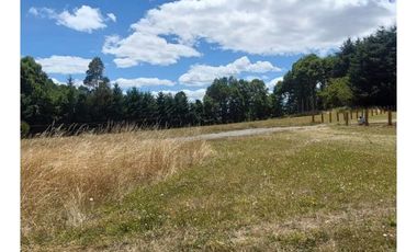 Hauslink Vende Últimas 6 Parcelas En Fabuloso Loteo Ñancul