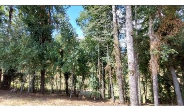 Hauslink Vende Últimas 6 Parcelas En Fabuloso Loteo Ñancul