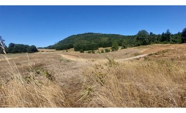 Hauslink Vende Últimas 6 Parcelas En Fabuloso Loteo Ñancul