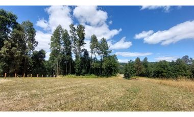 Hauslink Vende Últimas 6 Parcelas En Fabuloso Loteo Ñancul