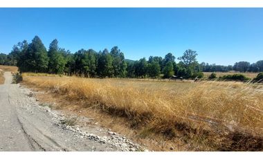 Hauslink Vende Últimas 6 Parcelas En Fabuloso Loteo Ñancul