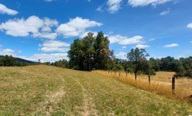 Hauslink Vende Últimas 6 Parcelas En Fabuloso Loteo Ñancul