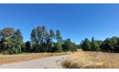 Hauslink Vende Últimas 6 Parcelas En Fabuloso Loteo Ñancul