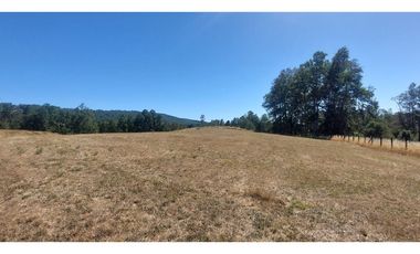 Hauslink Vende Últimas 6 Parcelas En Fabuloso Loteo Ñancul