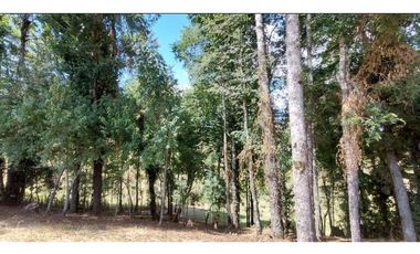 Hauslink Vende Últimas 6 Parcelas En Fabuloso Loteo Ñancul