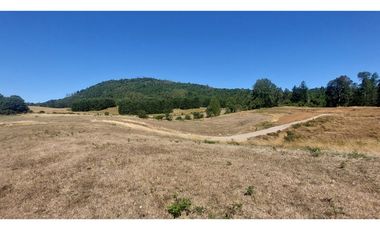 Hauslink Vende Últimas 6 Parcelas En Fabuloso Loteo Ñancul