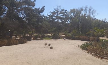 Parcela Con Casa Priincipal Y Cabañas