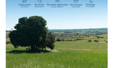 Parcelas Oferta A 2 Horas De Santiago Con Descuento 7 Millon