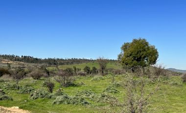 Parcelas Oferta A 2 Horas De Santiago Con Descuento 7 Millon