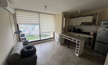 Departamento Linares