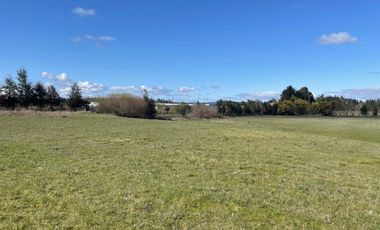 Exclusivo ¡¡¡ Campo Agricola 13,7 Hà Orilla Carretera Sector