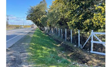 Exclusivo ¡¡¡ Campo Agricola 13,7 Hà Orilla Carretera Sector